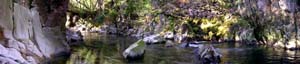 River Esk click to open a larger image