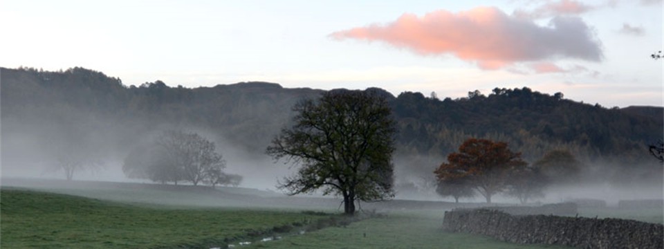 November mist,  Eel Beck