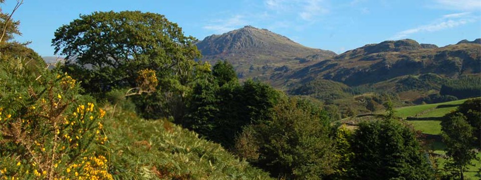 Harter Fell