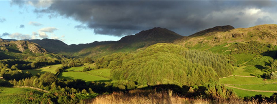 Eskdale from Low Birker