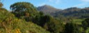 Harter Fell