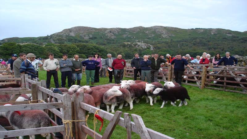 The local farmers gather