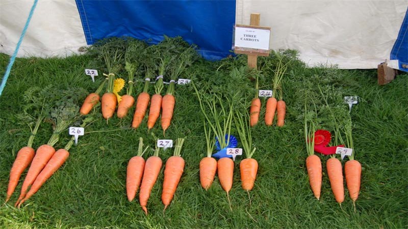 produce tent