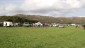 Eskdale Show Ground