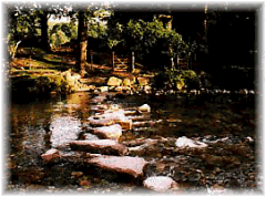 Stepping stones at St. Cathrines